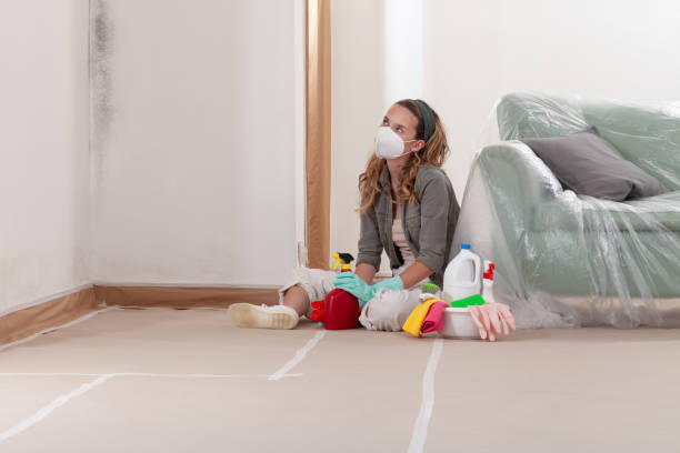 Reliable Basement Mold Remediation contractor in Georgetown, MA by Car Mold Remediation